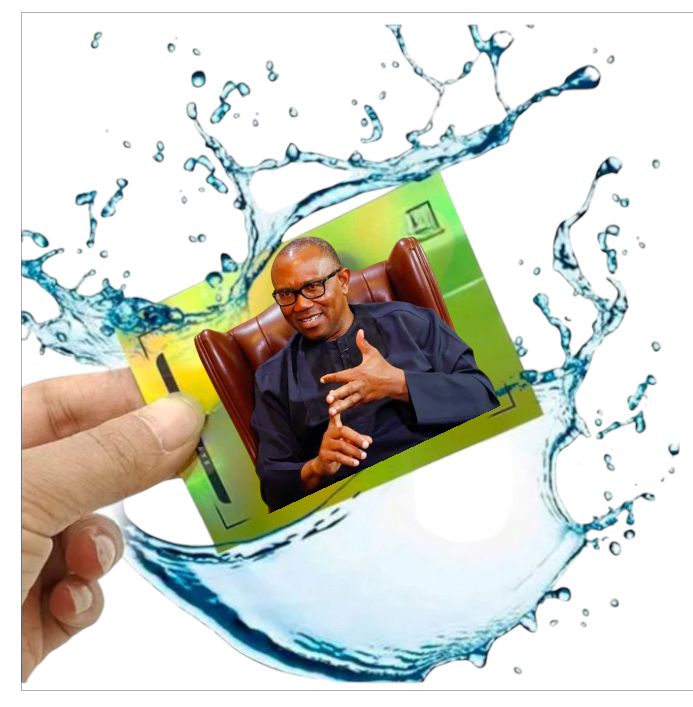 His Excellency Peter Obi Limited Edition Collectible Cards- Look for 2025 Obidient$1000® - Image 2